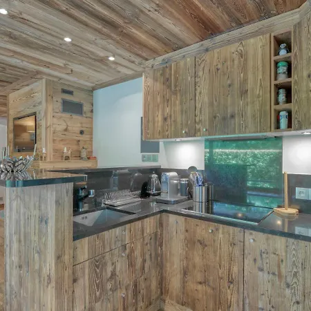 3 Renove A Megeve, Au Pied Des Pistes De Rochebrune, Avec Grande Terrasse. - Fr-1-453-295 Apartment *